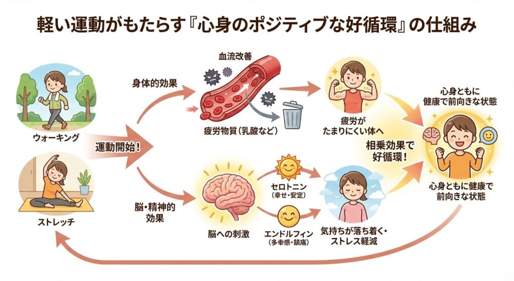 軽い運動がもたらす「心身のポジティブな好循環」の仕組み
