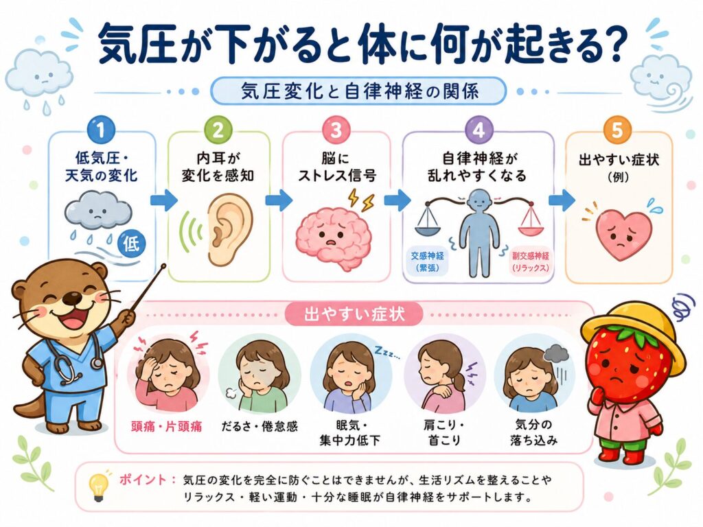 気圧変化と自律神経の関係を説明する図解